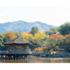 《潜在能力テスト》鈴虫寺：京都の秘密の宝石｜6月6日