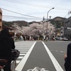 京都の桜は満開です