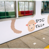 3月のトリミング