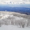 樹林帯をぬけた辺りで振り返ってみました