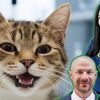 【米・この悪魔の研究所を閉鎖する！】　ローラ・ルーマー氏とホワイトコート・ウェイスト氏のキャンペーンを受け、国防総省は残酷で致命的な猫実験の中止を確認