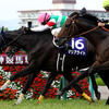 競馬初心者必見☆歴代三冠牡馬全7頭大特集④！！