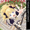シャドーハウス集英社ソウマトウ