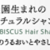 ノンシリコンなのにキシまないハイビスカス ヘアシャンプー