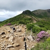 6月久住　みやま霧島　6月16日