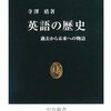 ピンチョンのまなざし　その１７　かつ２０１３年抱負