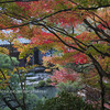 東近江・百済寺