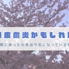 花粉皮膚炎かもしれない【効果があった化粧品たち】