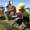 6月16日　田植え