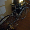 室内専用