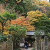 晩秋の鎌倉散策 2016 昼の部 (北鎌倉～鎌倉)