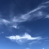 無職でもまともな生活を送りたい