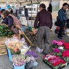 福吉産業まつり2024