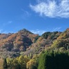 南阿蘇では紅葉も見頃