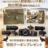 OM SYSTEM MEMBERS対象「野鳥撮影に最適な商品」の10%OFFクーポンが配布中（〜9/30）