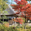 Mon. 　 ダリア　秋田県立農業科学館