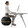 日本でも購入可。座るためのバランスボールWellness Ball - Active Sitting