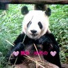 #シャンシャン#上野動物園