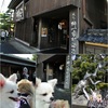 3わんと一緒のキャンカー旅　今回は長野県の小布施・松本の旅の２日目の続きですぅ〜❗おぶせ町を見学し、四季折々のお花を楽しめるフローラガーデンにも行きましたよ。またわんこ達と一緒に花屋プレートランチを頂きました。