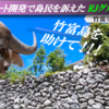 竹富島リゾートホテル建設をめぐるエグさ　～　本土系「キャバクラ王」が竹富島住民を訴えるスラップ訴訟　～　島の声を聞かない RJグループの「開発」は島の「搾取」以外の何物でもない