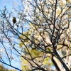 特にネタなし（本当にネタなし）