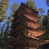 【羽黒山】生まれ変わりの旅①～杉並木の表参道から三神合祭殿へ