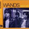 BEST HITS / WANDS (2008 FLAC)