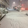 昨日の雪