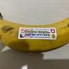 休職297日目　とんかつをいつでも