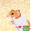 ついに最終回「癒しのハムスター育成ゲーム」を1年間続けたら…広いケージに変更出来た！！！！