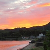 「嵐（台風）の前の静けさ」か？　天気が良いです！