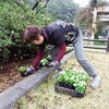 花の植え付け作業