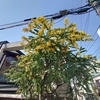 花の季節