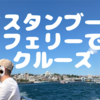 イスタンブールで船に乗る。ボスポラス海峡、公共フェリーで片道260円の格安クルーズ！旧市街〜アジア〜新市街、クレジットカード、スマホのタッチ決済で乗れる。カモメに餌やりも出来るよ！