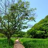 初夏の小網代の森 カニ観察は大人でも楽しめる