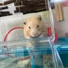 最近のコタロ〜くん
