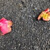 明日は元気であればいいんだが