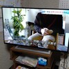 報道特集｜TBSテレビ