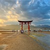 広島旅行記２　宮島水族館と夕暮れ時の厳島神社