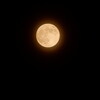 2024-10-17(Thu)
