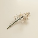 花に潜って