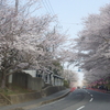 小見川城山公園20180328