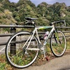 豊後高田市都甲から真玉へ自転車トレーニング。