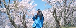 絶景の桜を求めてハイキング in 長野｜Sony ZV-E1＆α7R5