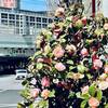 オフィス街を彩る神田の中央通り歩道に咲く椿｜2025年開花状況（東京都千代田区）