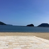 昭和なかよし保育園で稚魚放流