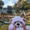 #上野動物園#アルン