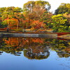 二の丸庭園（皇居東御苑）