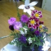 お花の交換とシクラメンと姫ツルソバの寄せ植え