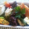 自家製ツナのおにぎり弁当　３．２